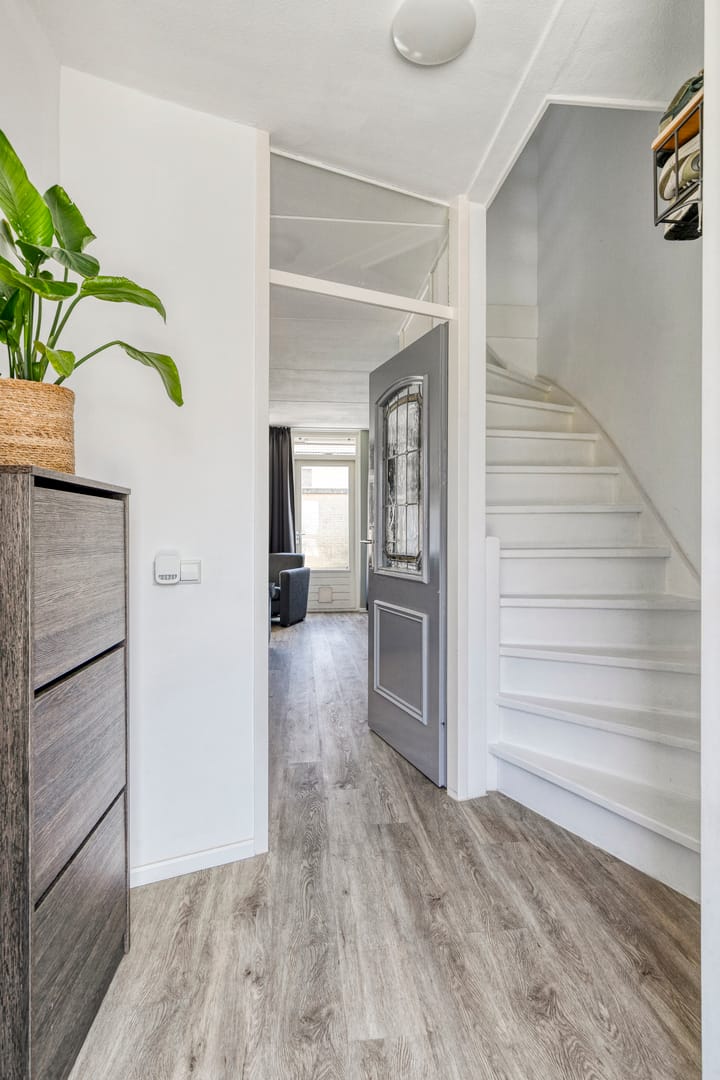 Photo 5 of Weegbree 4