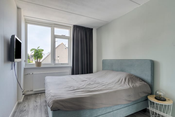 Photo 14 of Weegbree 4