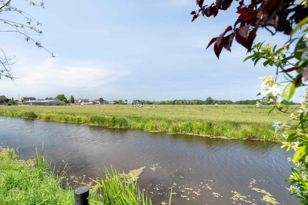 Foto 31 van Weegbree 4