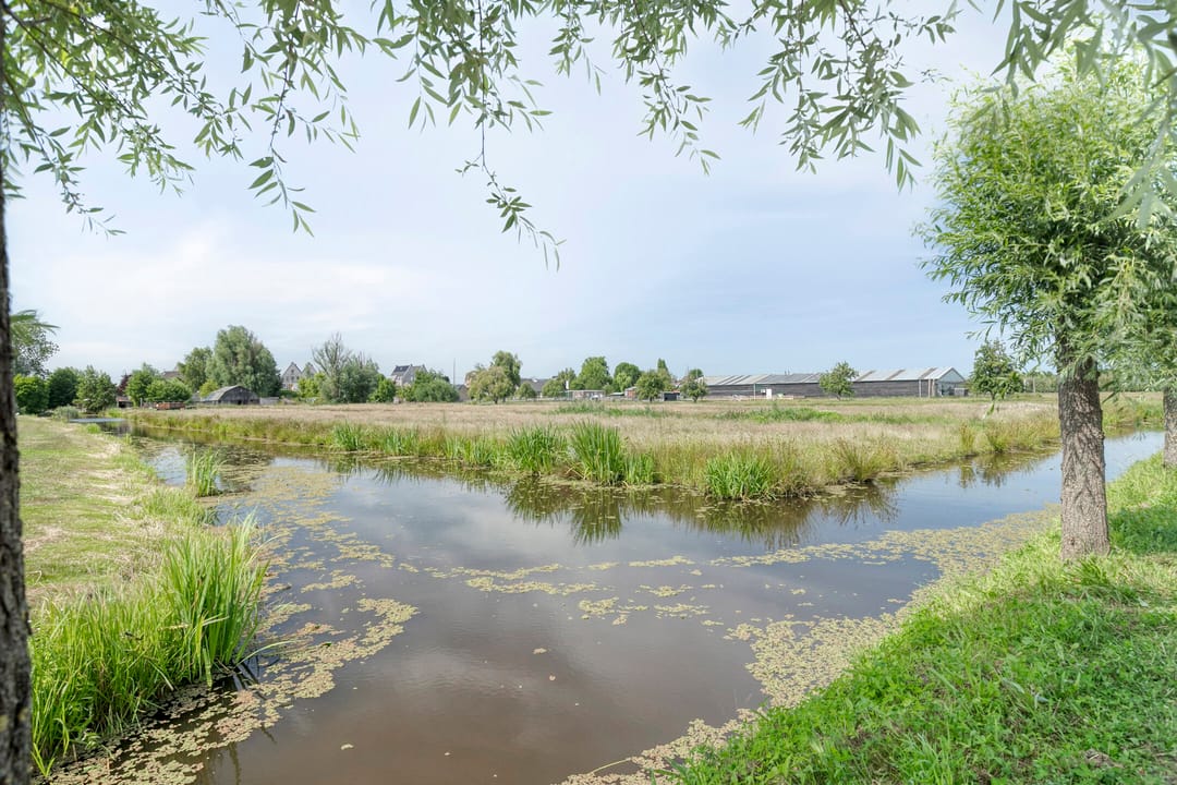 Foto 32 van Weegbree 4