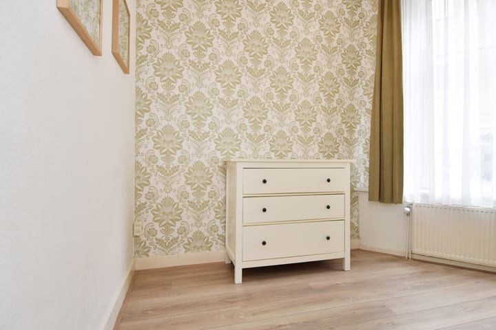 Foto 21 van Jan van Houtstraat 96