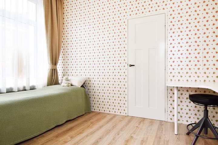 Foto 27 van Jan van Houtstraat 96