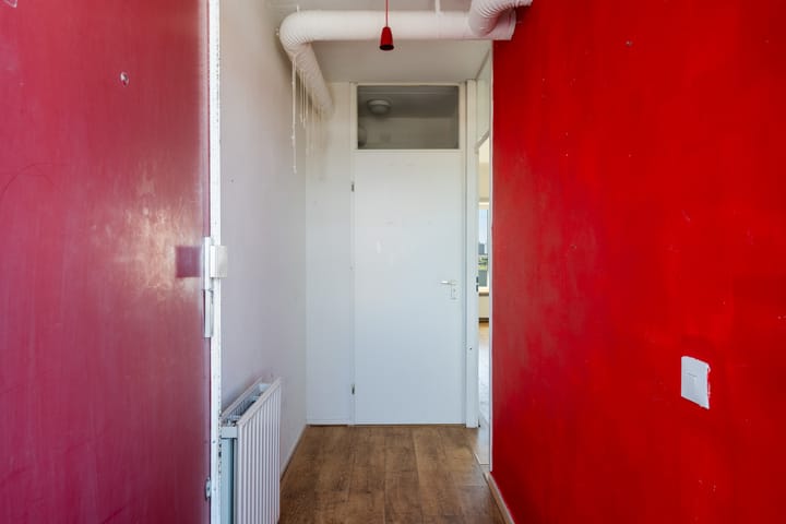 Photo 43 of Weena 979