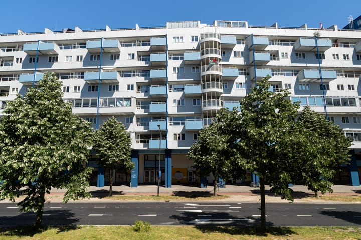 Photo 45 of Weena 979