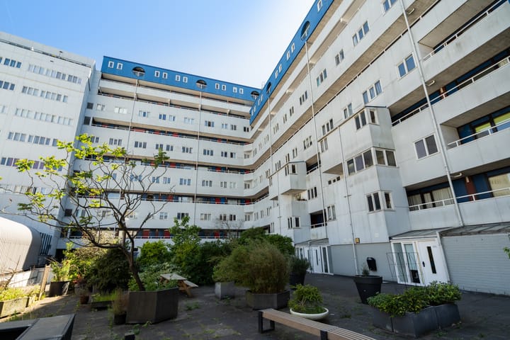 Photo 46 of Weena 979