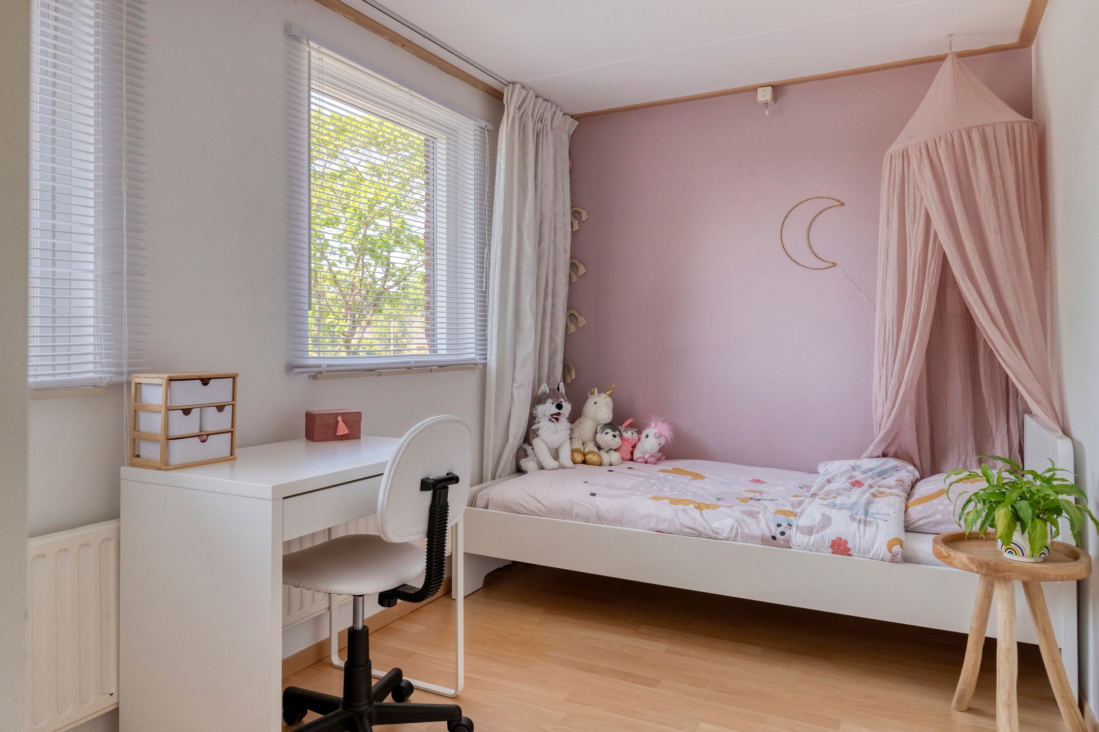 Foto 30 van Prins Willemstraat 63