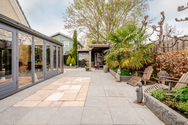 Foto 48 van Galjoen 19 25