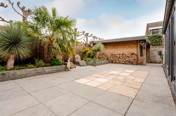 Foto 49 van Galjoen 19 25