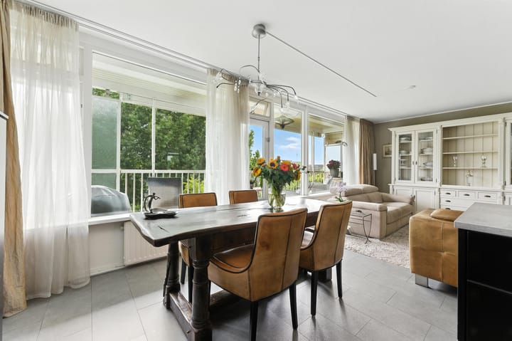 Foto 10 van Anatole Franceplaats 462