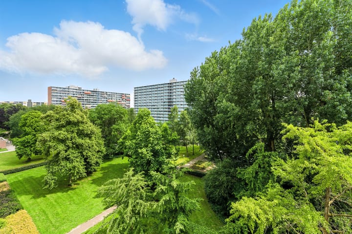 Foto 21 van Anatole Franceplaats 462