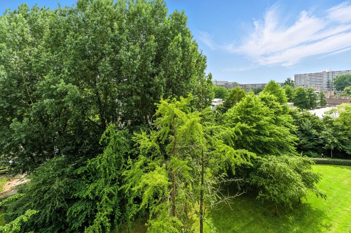 Foto 22 van Anatole Franceplaats 462