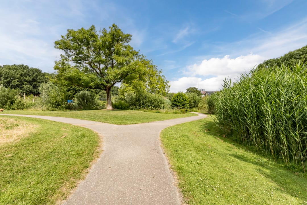 Foto 31 van Thijsselaan 76