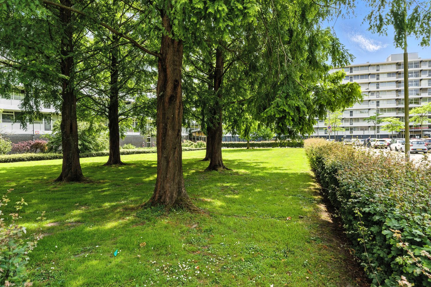 Foto 40 van Anatole Franceplaats 462