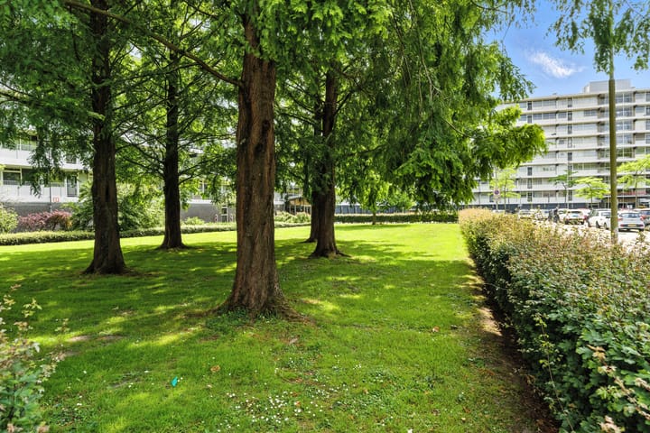 Foto 40 van Anatole Franceplaats 462