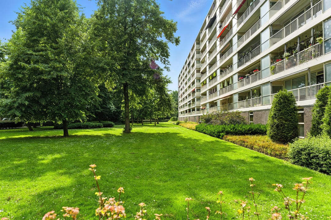 Foto 41 van Anatole Franceplaats 462