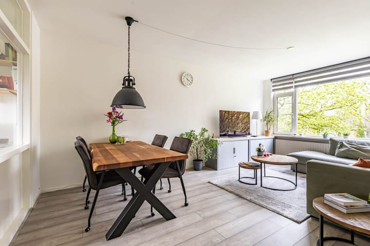 Foto 2 van Dierenriemstraat 205