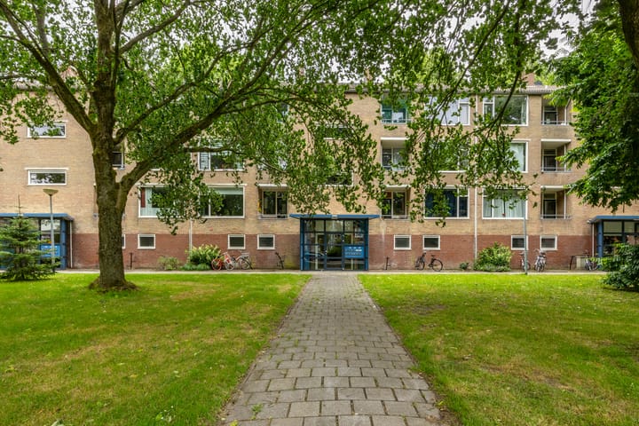 Photo 1 of Dierenriemstraat 205