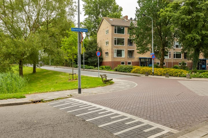 Photo 8 of Dierenriemstraat 205