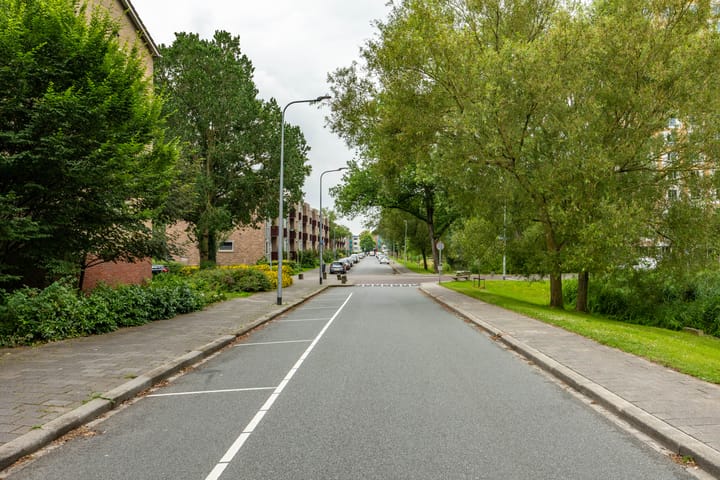 Photo 9 of Dierenriemstraat 205