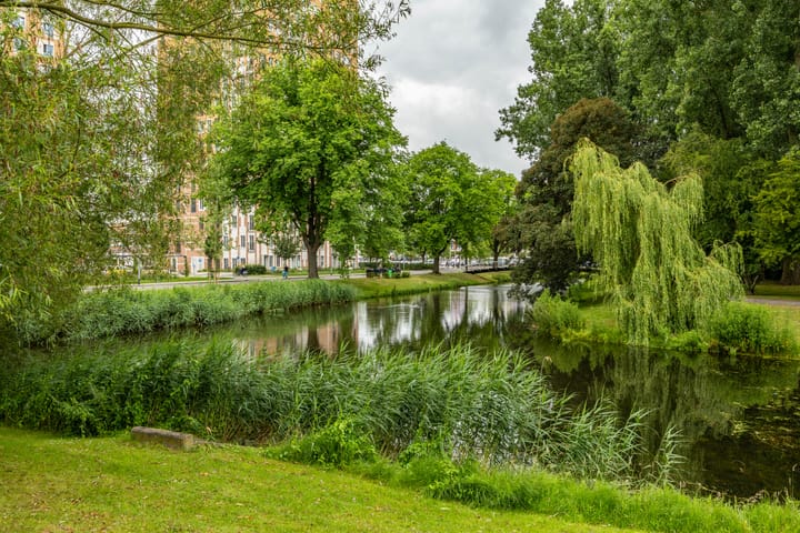 Photo 11 of Dierenriemstraat 205