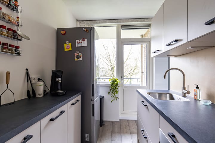 Photo 25 of Dierenriemstraat 205