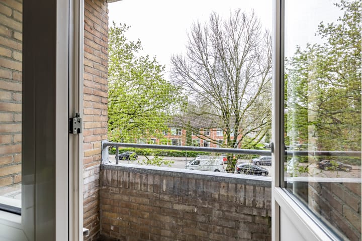 Photo 31 of Dierenriemstraat 205