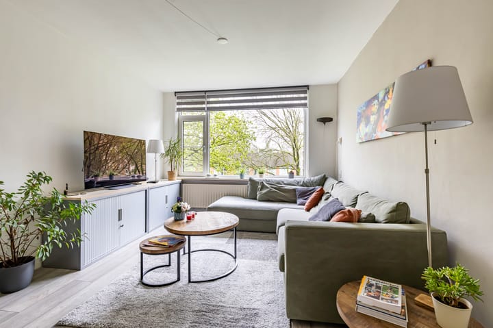 Photo 33 of Dierenriemstraat 205