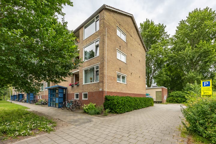 Photo 15 of Dierenriemstraat 205