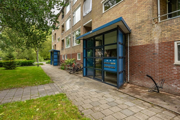 Photo 14 of Dierenriemstraat 205