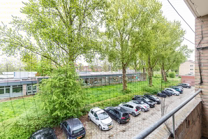 Photo 40 of Dierenriemstraat 205