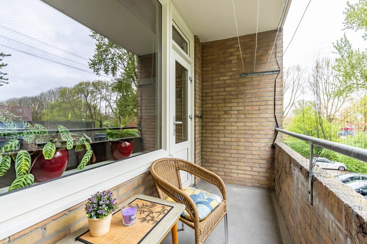 Photo 41 of Dierenriemstraat 205