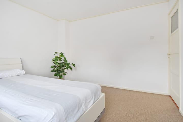 Foto 22 van Willem van Houtenstraat 99