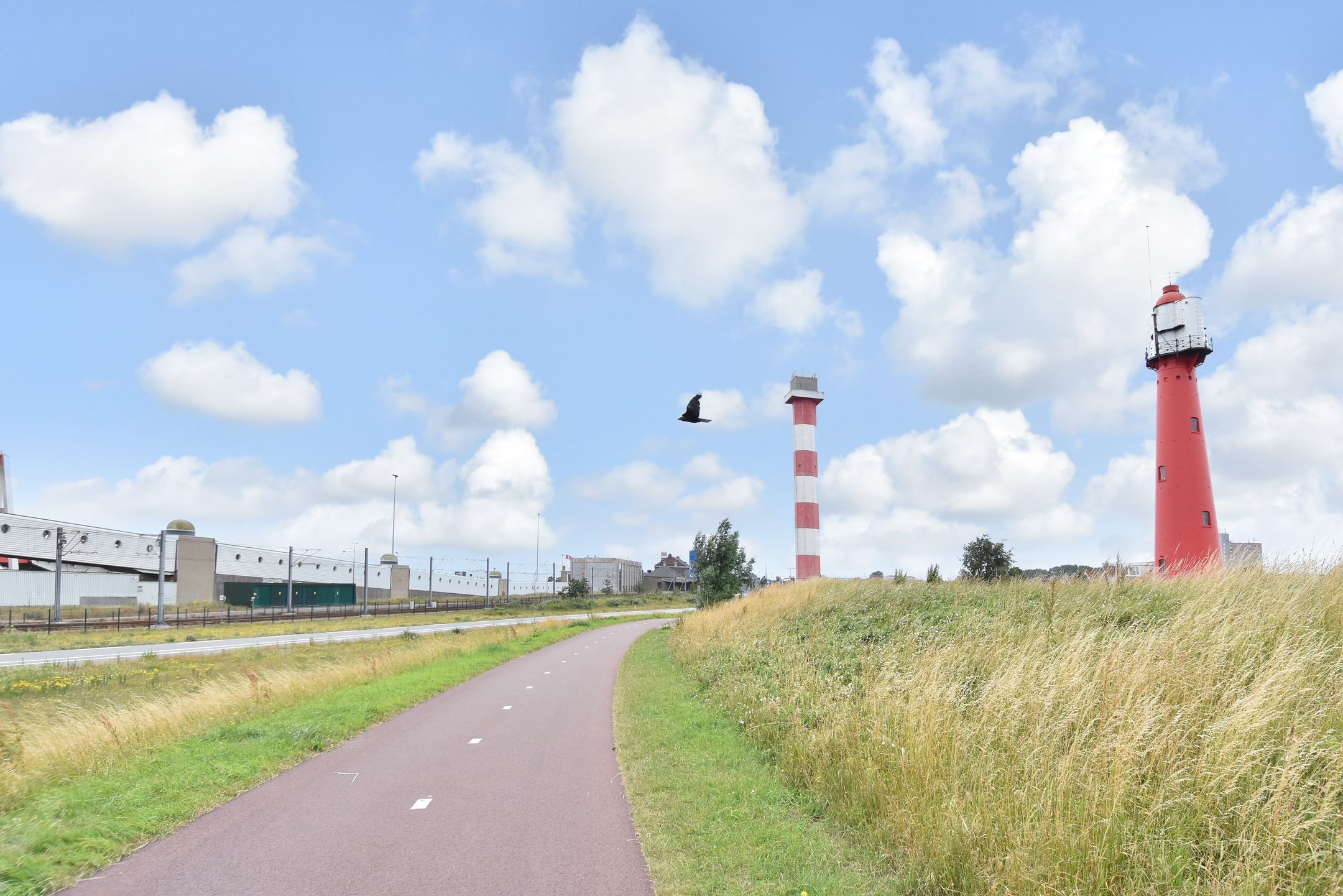 Foto 36 van Willem van Houtenstraat 99