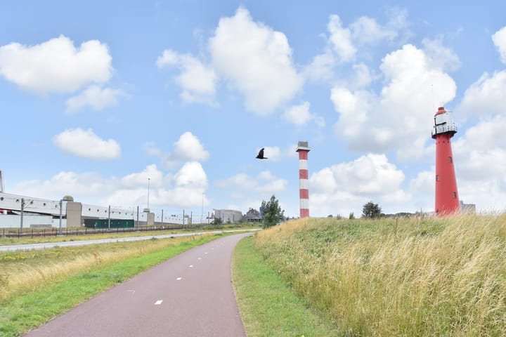 Foto 36 van Willem van Houtenstraat 99