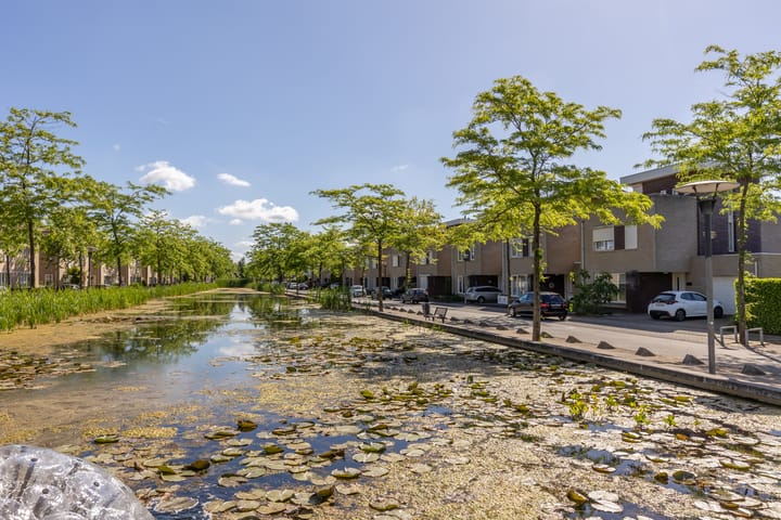 Foto 2 van Aquarius 4