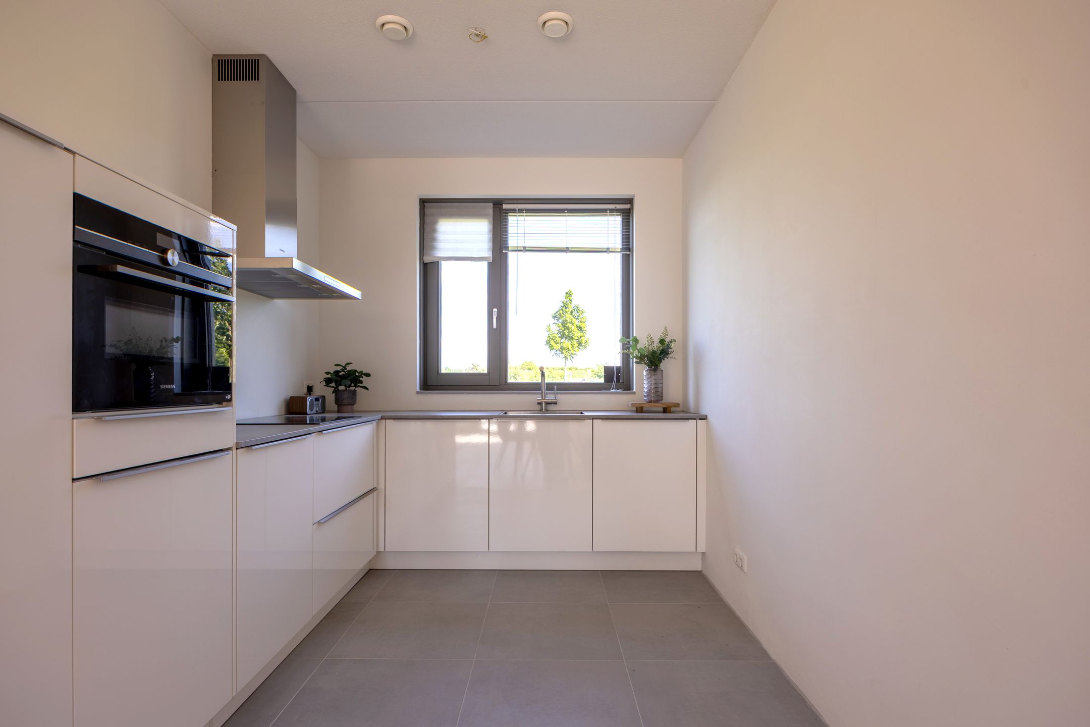 Foto 6 van Silenus 94