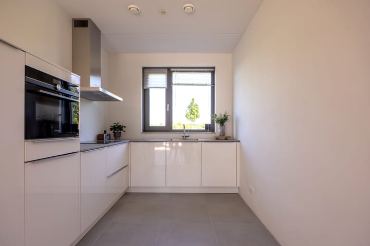 Foto 6 van Silenus 94