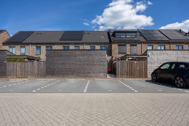 Foto 38 van Silenus 94