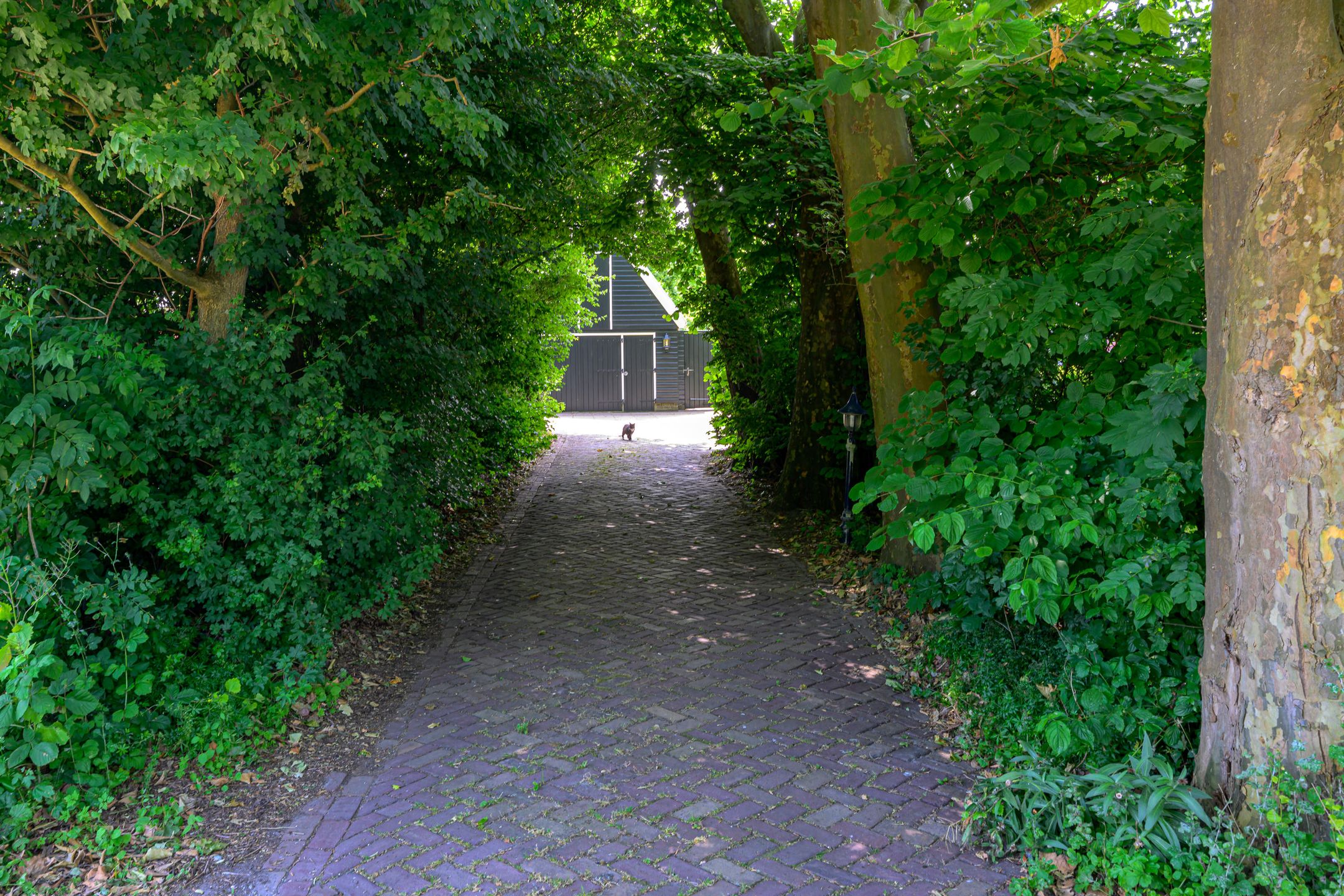 Foto 63 van Westeinde 7