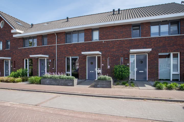 Foto 22 van Schoenmaker 19