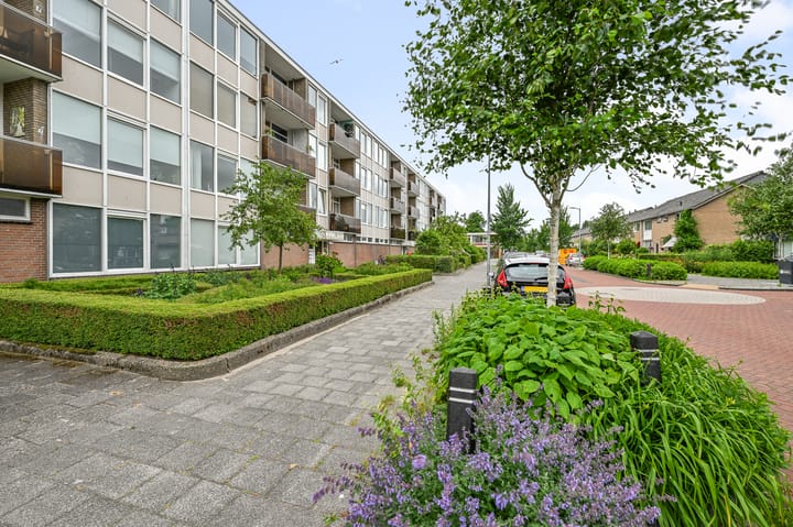 Foto 2 van Cornelis Pronklaan 23