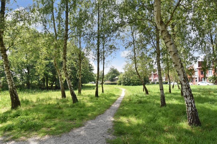 Foto 21 van Meersingel 16