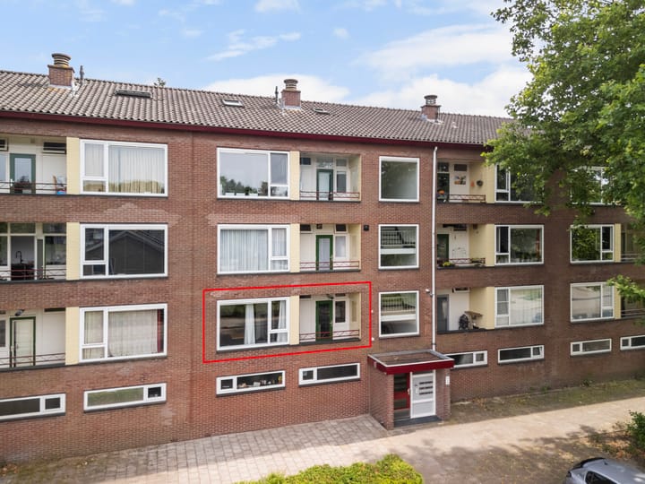 undefined main image