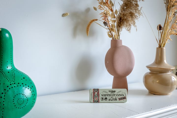 Photo 12 of Schimmelpenninckstraat 30-B