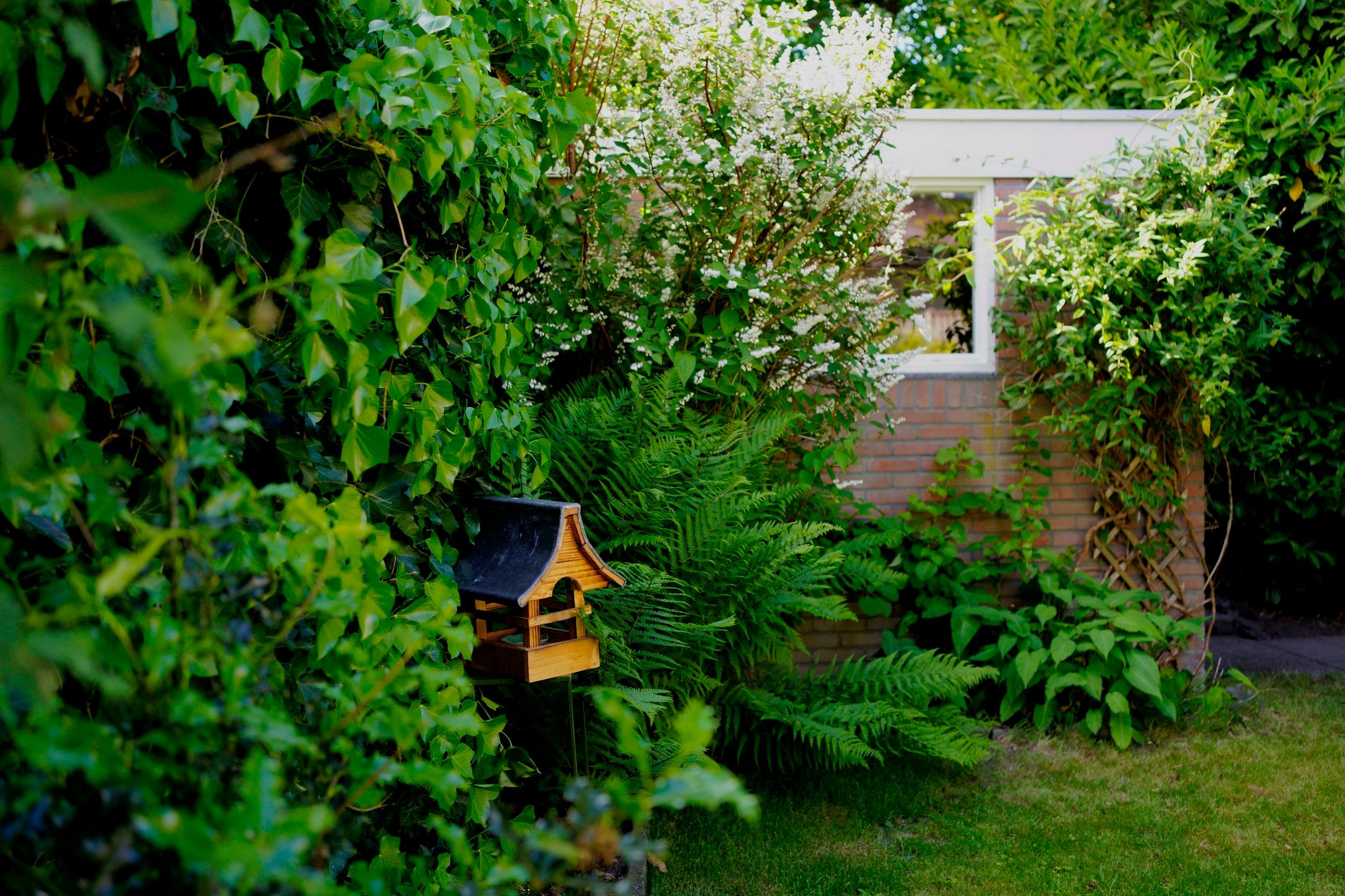 Foto 27 van Schimmelpenninckstraat 30-B