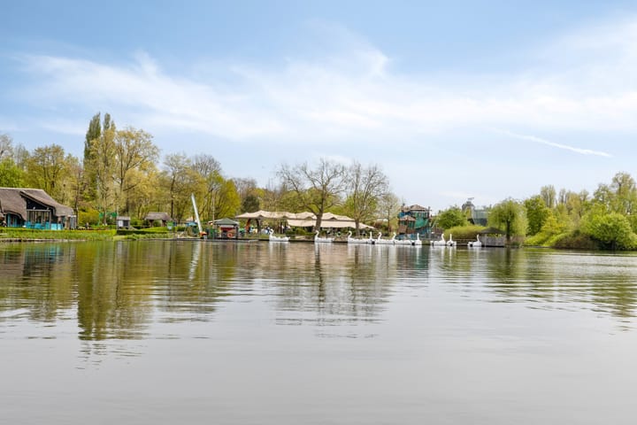 Foto 41 van Spinbollaan 53