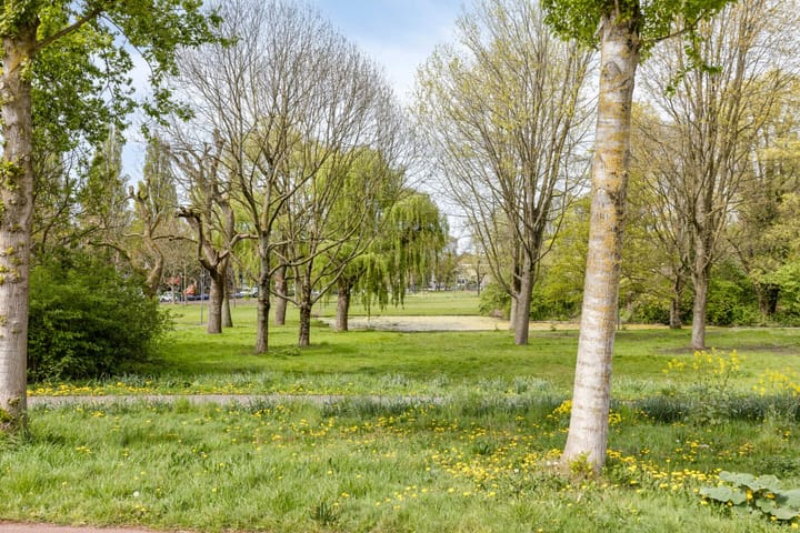 Foto 43 van Spinbollaan 53