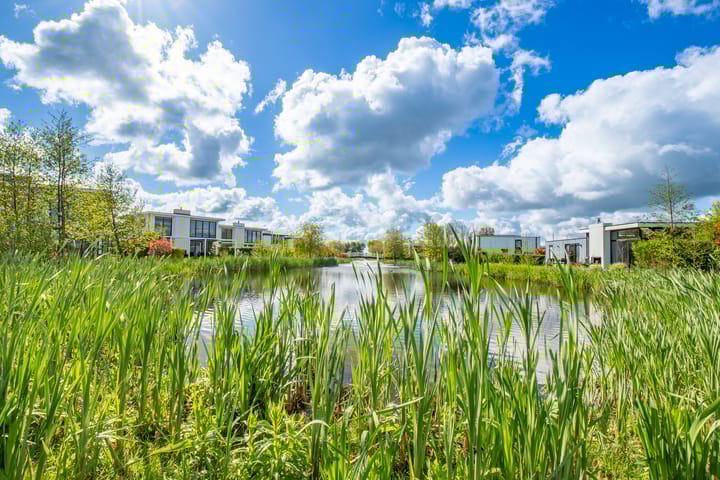 Photo 39 of Hulckesteijn 3-019