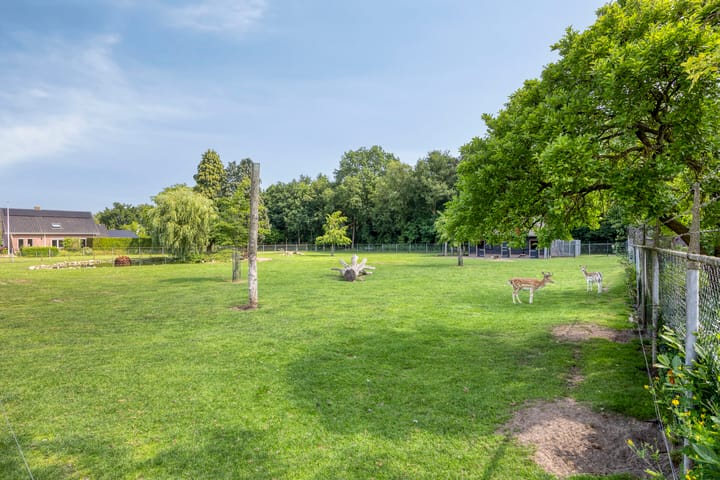 Foto 30 van Molenweg 16