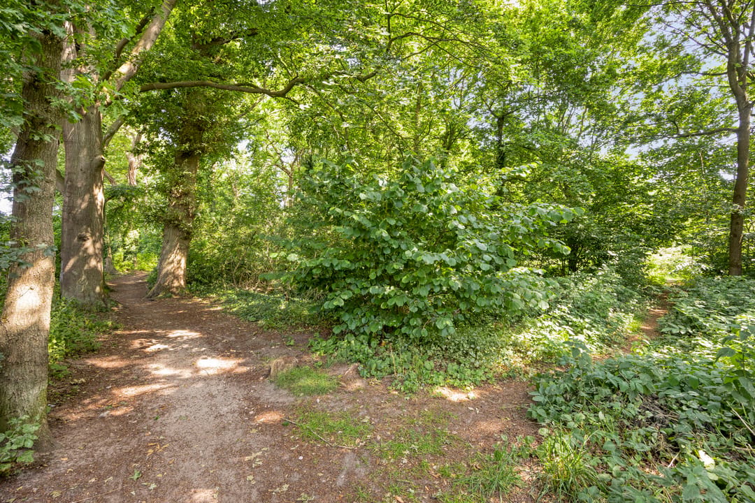 Photo 31 of Molenweg 16
